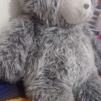 عروسک خرسی|اسباببازی بچه|نگین شهر, |دیوار