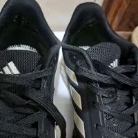 کتونی|کیف، کفش، کمربند|رباط‌کریم, نصیرشهر|دیوار