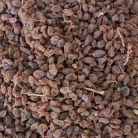 کشمش آبگیری|عمده‌فروشی|خمین, |دیوار