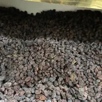 کشمش درجه ۱ بار امساله عمده و خرده|خوردنی و آشامیدنی|هشتگرد, شهرک وحدت|دیوار