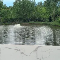 اجاره روزانه/هفتگی/ماهانه ویلا ۷۵ متری|اجارهٔ کوتاهمدت ویلا و باغ|شفت, |دیوار