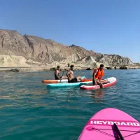 اجاره پدل برد