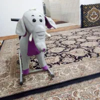 یک فیل قیمت یک میلیون ودویصت هزار