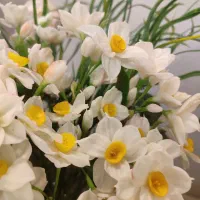 گل نرگس|گل مصنوعی|تهران, اوقاف|دیوار