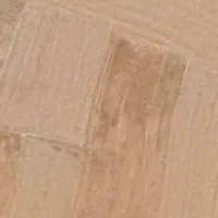 زمین کشاورزی