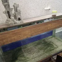 آکواریوم ابعاد ۱۳۵×۷۵×۴۰|ماهی|سمنان, |دیوار