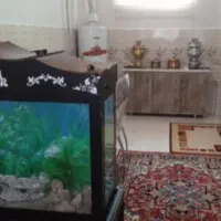 ساختمان مسکونی