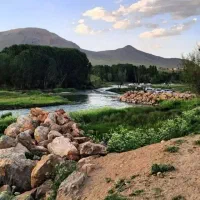 خط موبایل همراه اول