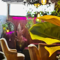 کمکباریستا(نیروی خانم)شیفت عصر|استخدام خدمات فروشگاه و رستوران|یزد, |دیوار