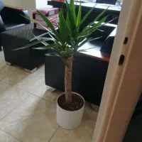 ثبت شرکت