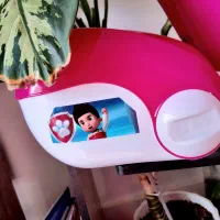 دوچرخه ۱۶ درحد سالم|دوچرخه، اسکیت، اسکوتر|تهران, قصر فیروزه ۲|دیوار