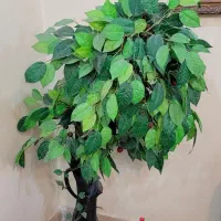 درخت گیلاس مصنوعی