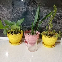 سه عدد گلدان