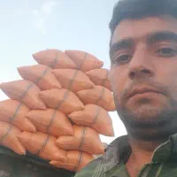 کاه گندوم فروشی  موجود هست