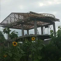 سربندی چوبی|خدمات پیشه و مهارت|رشت, کوی امام رضا|دیوار