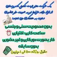 کار درخانه /آنلاین/تسویه روزانه