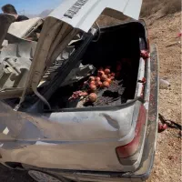 405 مدل 86|خودرو سواری و وانت|کرمان, |دیوار