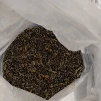 چایی سبز|خوردنی و آشامیدنی|کرج, ساماندهی|دیوار