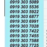 0919.30.33293