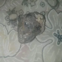 سنگ|کلکسیون و سرگرمی|زبرخان, |دیوار