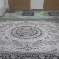 دوتا فرش نه متری کویر یزد جنس عالی|فرش|رشت, دروازه لاکان|دیوار