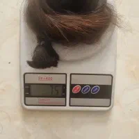 فروش 2 دسته مو 70 سانت  رنگی|آرایشی، بهداشتی، درمانی|تهران, شادآباد|دیوار