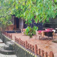 اقامتگاه-پاییز-جنگل-پاسند