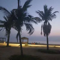 زمین مزروعی