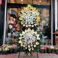 گل نمایشگاهی بین المللی سئول ایران مال شهر آفتاب