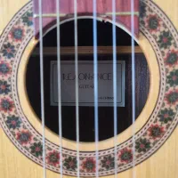 گیتا سالم و درحد نو|گیتار، بیس، امپلیفایر|شهرضا, |دیوار