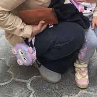 کیف پول گمشده