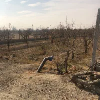 زمین ۴۵۰متری  با اب|فروش زمین و ملک کلنگی|تنکمان, |دیوار