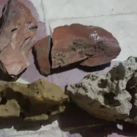 اکواریوم سالم با سنگ اکواریوم