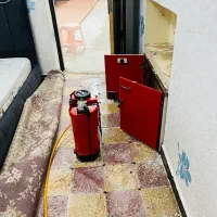 موریانه زدایی اصولی و سمپاشی کامل ساس باضمانت کتبی|خدمات نظافت|شوش, |دیوار