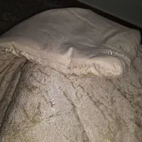 روتختی دونفره ژاکارتا|سرویس روتختی|تهران, هفت حوض|دیوار