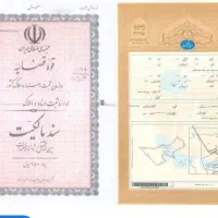 سفته موجود ثبت وحل مشکلات سند فوری