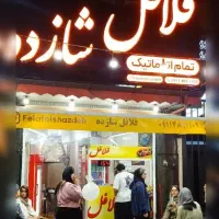 نیروی کار خانم و اقا جوان کار در فلافلی