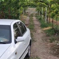 باغ برجاده|فروش دفتر صنعتی، کشاورزی، تجاری|خوی, |دیوار