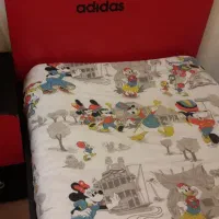 سرویس خواب نوجوان