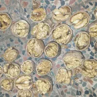 گردو کاغذی پرمغز درجه یک هورامان ارگانیک و بادام