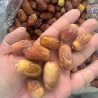 خرمای زاهدی|خوردنی و آشامیدنی|شیراز, لاله|دیوار