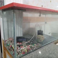 یک عدد آکواریوم به همراه یک DVD و دیجیتال