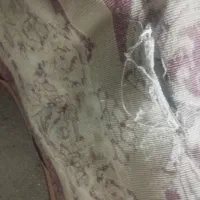 کناره4متری|فرش|مشهد, حسینآباد|دیوار