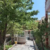 اجاره روزانه و ماهیانه آلاچیق