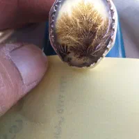 انگشتر شجر سوزنی|جواهرات|دورود, |دیوار