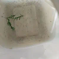 بچه گوپی