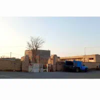 ملک کلنگی
