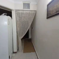 پرده عنکبوتی کرم‌ طلایی