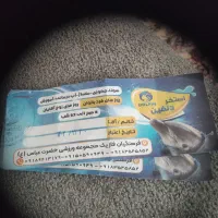 بلیط استخر دلفین زیر قیمت