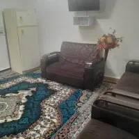 سوئیت جنگلی